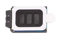 Loud Speaker Module